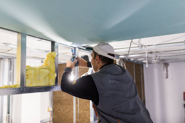 Best Cellulose Insulation in Fort Llins, CO