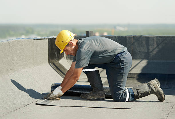 Best Energy Efficiency Insulation in Fort Llins, CO